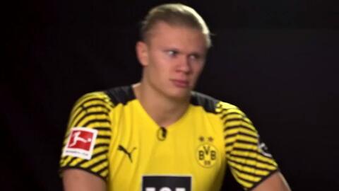 依据方向性 依据方向性